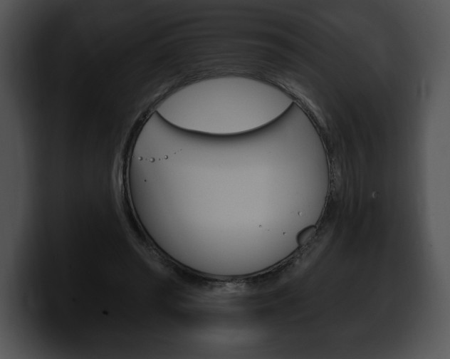 X0000100500398200806130734