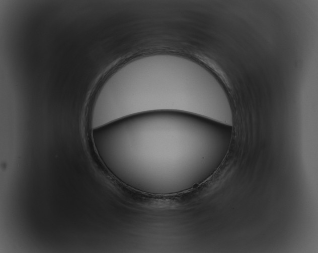 X0000100500399200806130734
