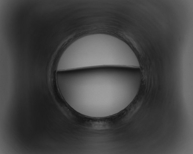 X0000100500400200806130734