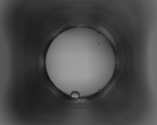 X0000100500401200806130734