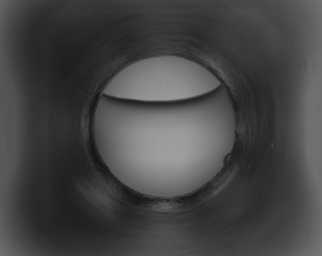 X0000100500402200806130733