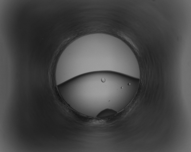 X0000100500403200806130733