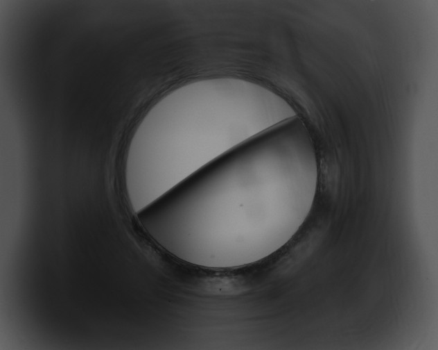 X0000100500404200806130733