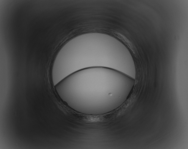 X0000100500405200806130733