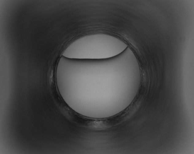 X0000100500406200806130733