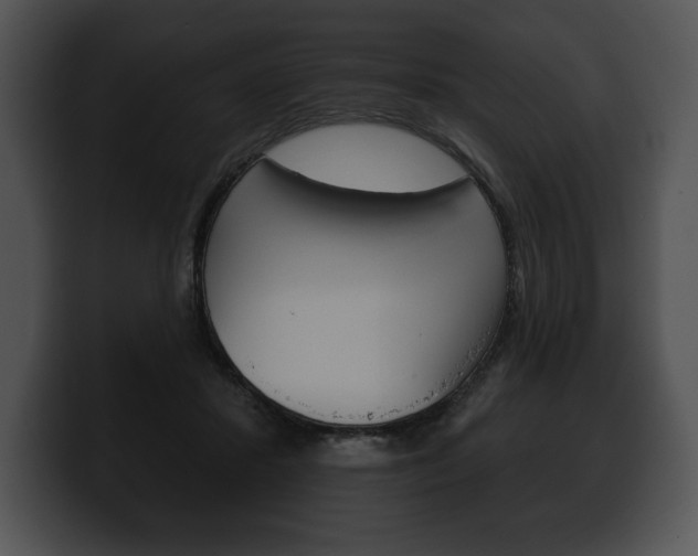 X0000100500407200806130733