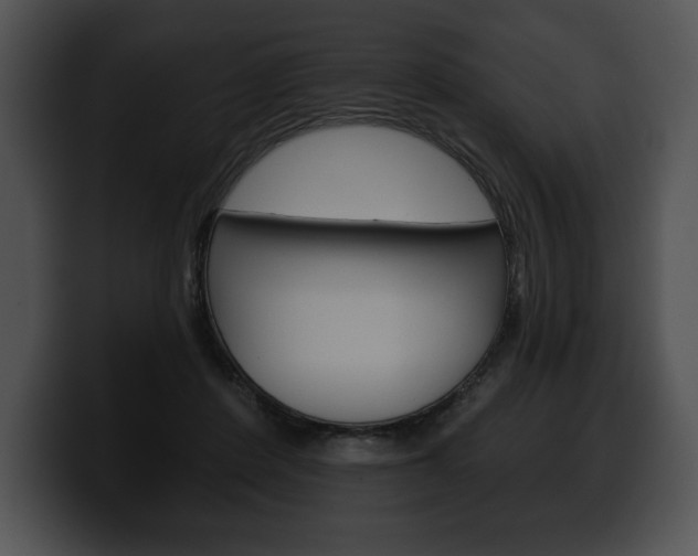 X0000100500408200806130733