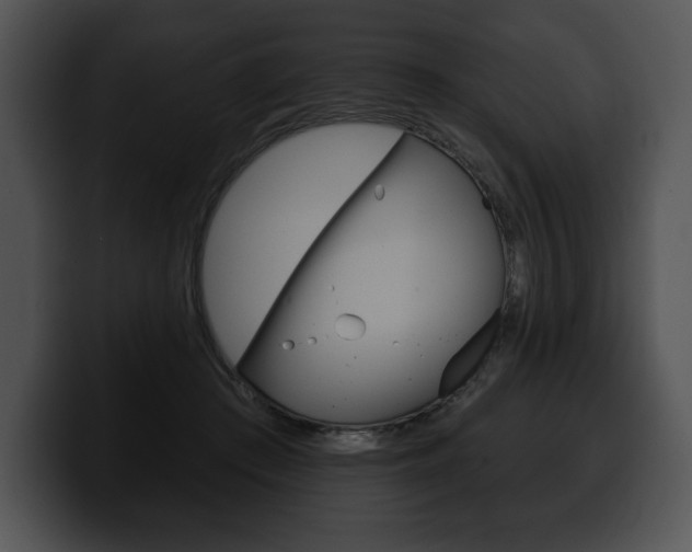 X0000100500409200806130733
