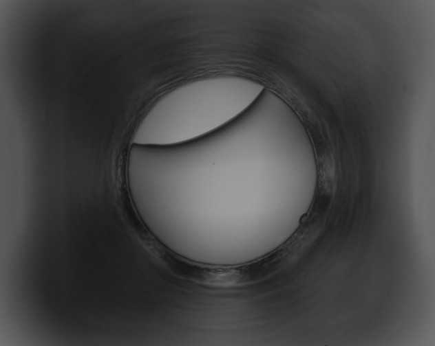 X0000100500410200806130733