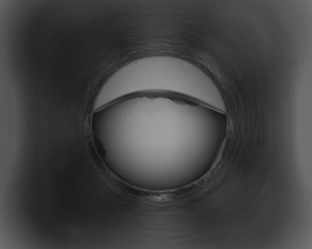 X0000100500411200806130733