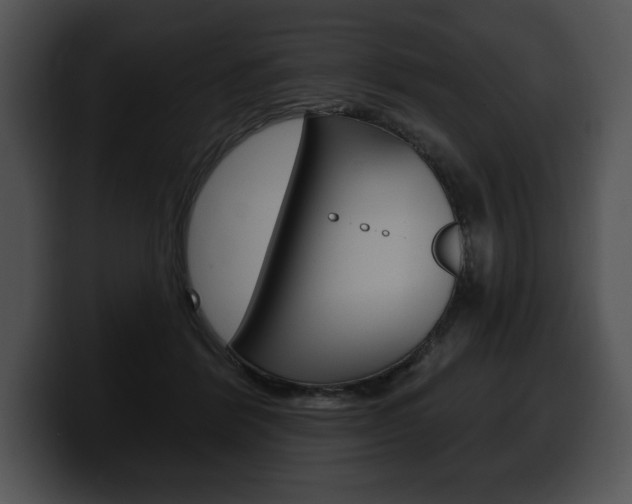 X0000100500412200806130733