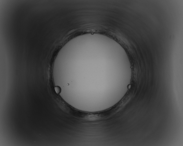 X0000100500413200806130733