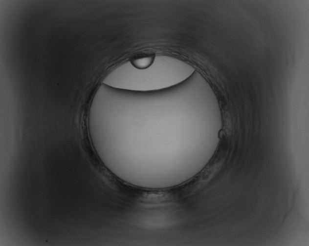 X0000100500414200806130733