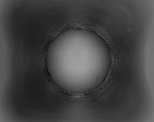 X0000100500415200806130733