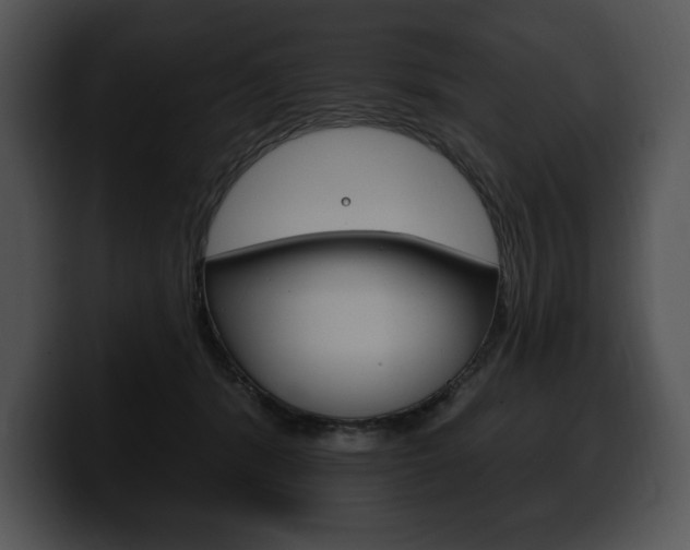 X0000100500416200806130733