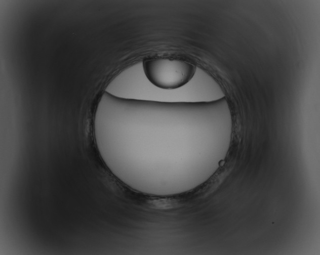X0000100500417200806130733