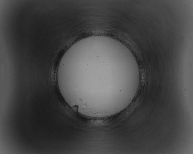 X0000100500419200806130733