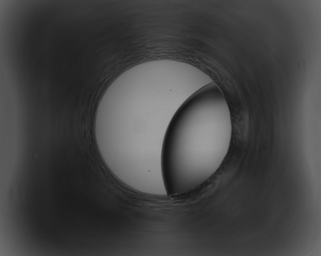X0000100500420200806130733
