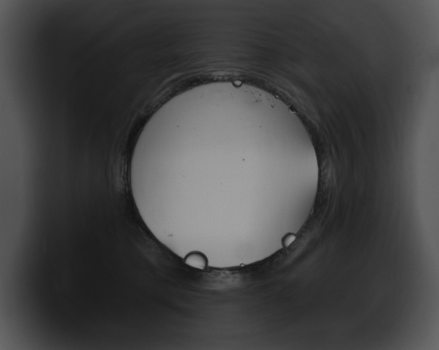 X0000100500421200806130733