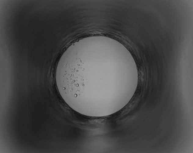 X0000100500422200806130733
