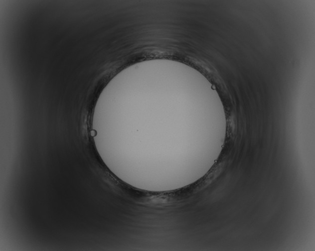 X0000100500423200806130733