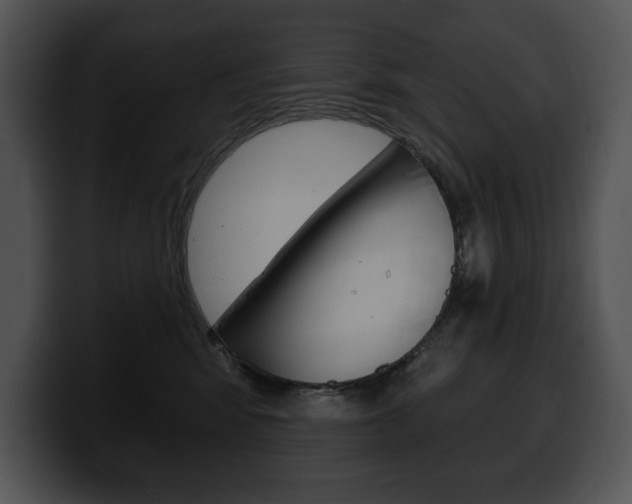 X0000100500424200806130733