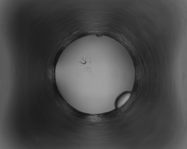 X0000100500425200806130733