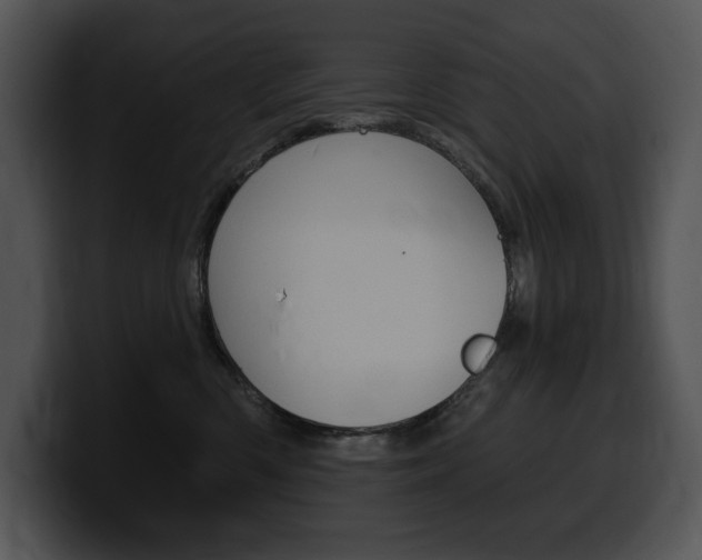X0000100500426200806130733