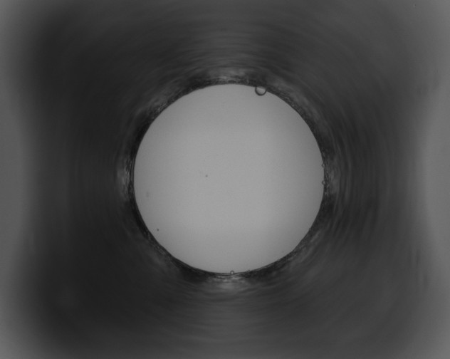 X0000100500427200806130733
