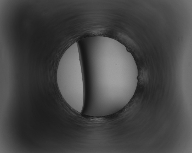 X0000100500428200806130733