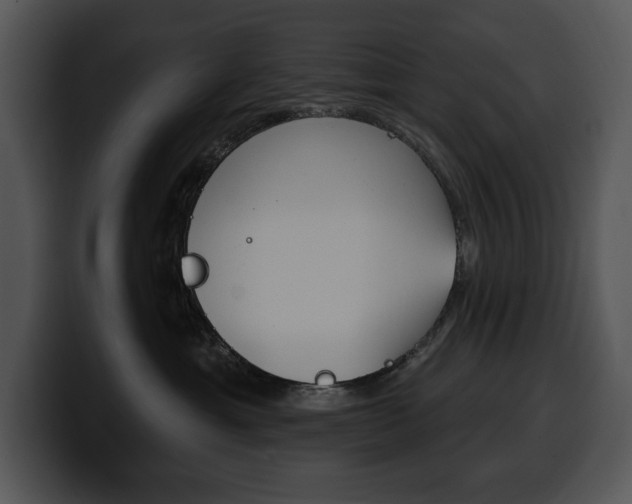 X0000100500429200806130733