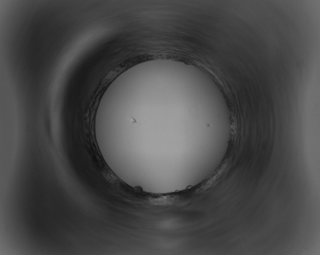 X0000100500430200806130733