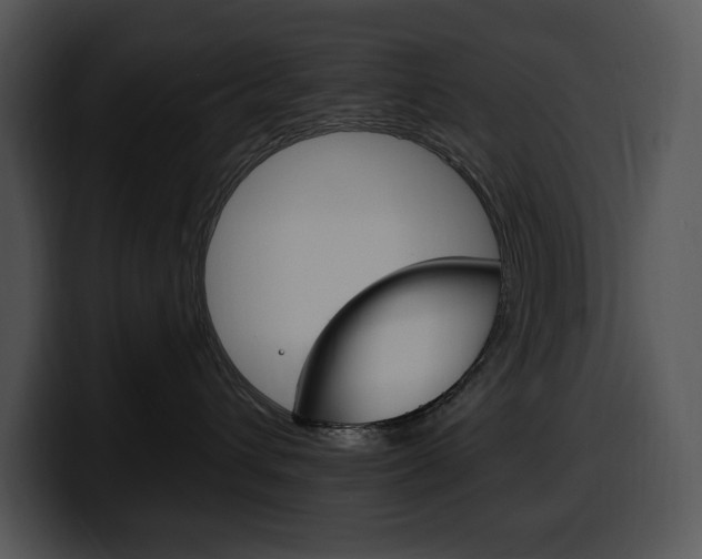 X0000100500432200806130733