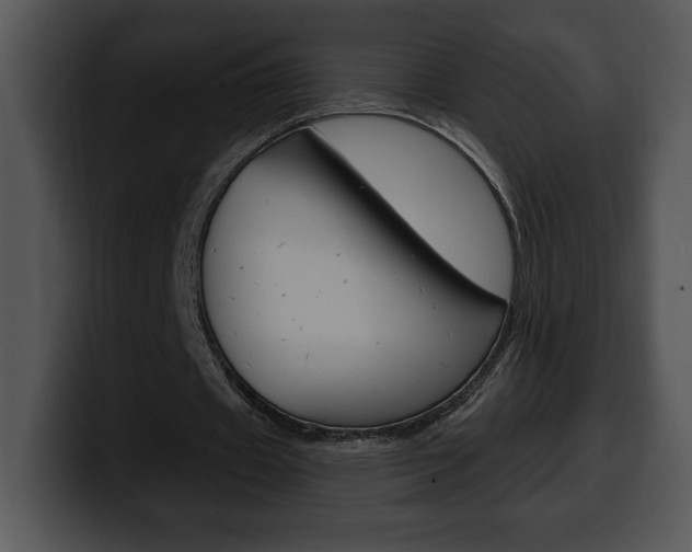 X0000100500433200806130732