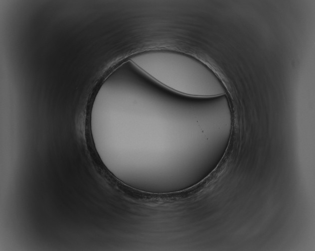 X0000100500434200806130732