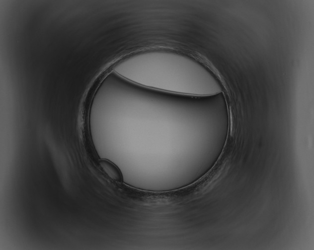 X0000100500435200806130733
