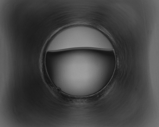X0000100500436200806130733