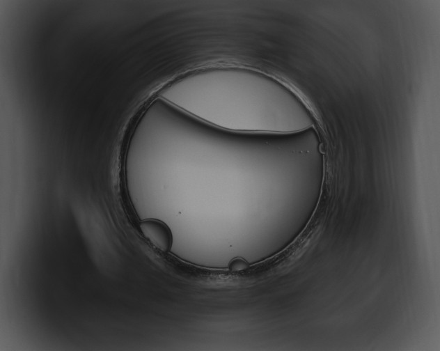 X0000100500437200806130733