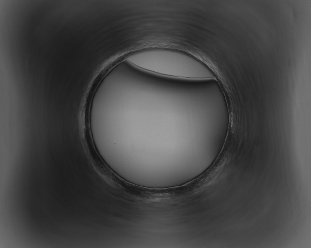 X0000100500438200806130733