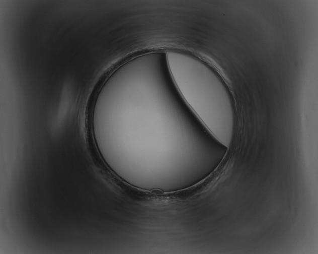 X0000100500439200806130733