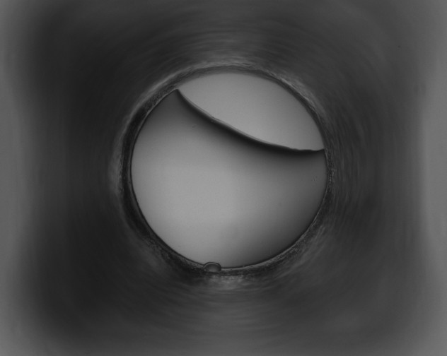 X0000100500440200806130733