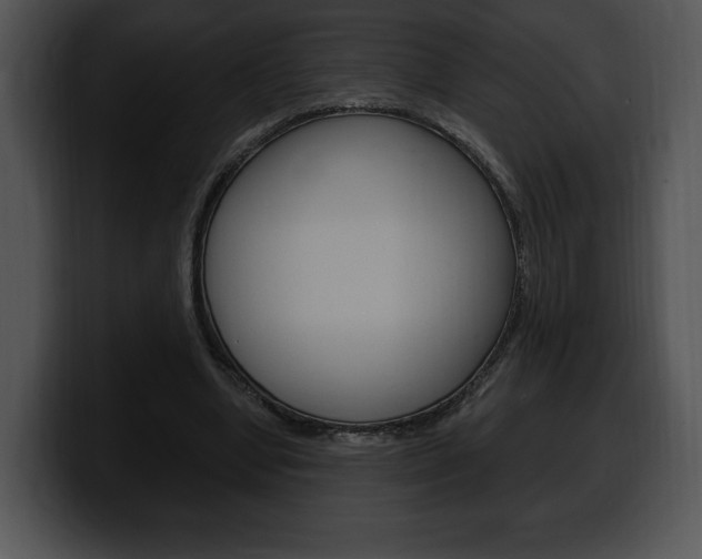 X0000100500442200806130733