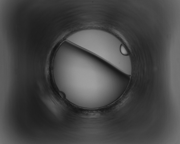 X0000100500443200806130733