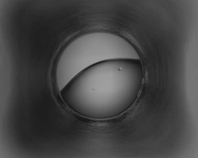 X0000100500444200806130733