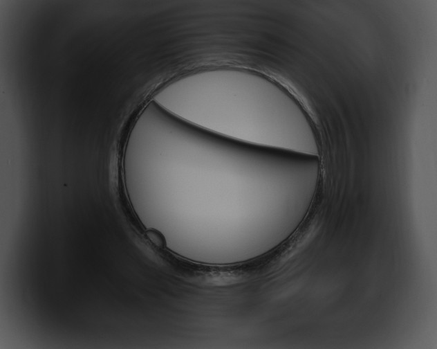X0000100500445200806130733