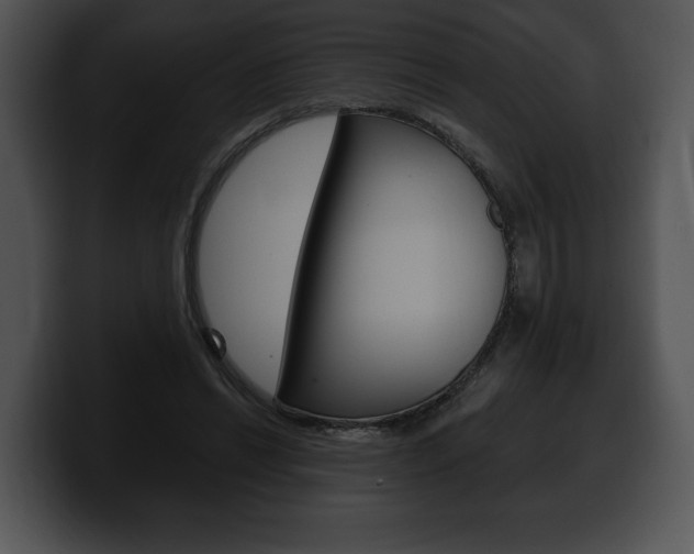 X0000100500446200806130733