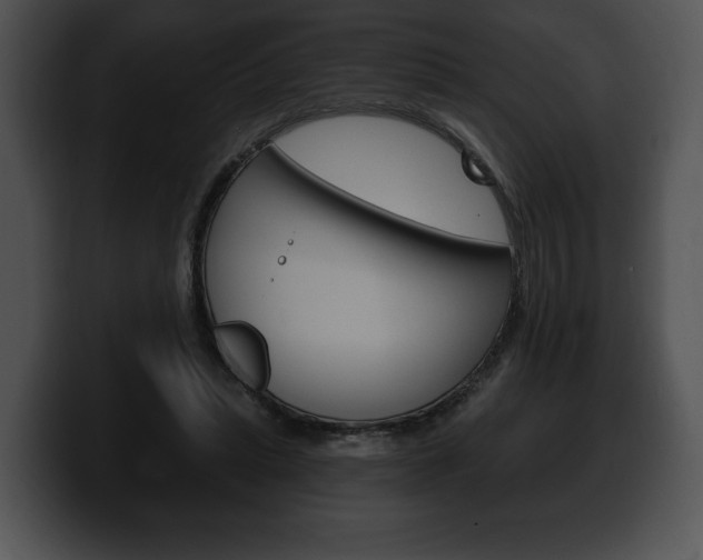 X0000100500447200806130733