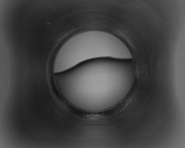 X0000100500448200806130733