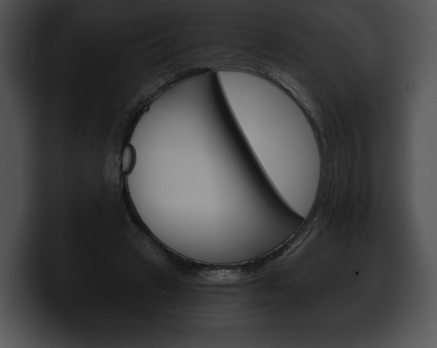 X0000100500449200806130733