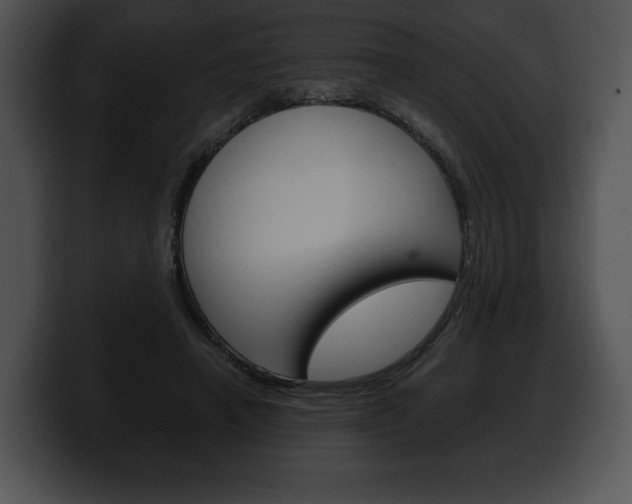 X0000100500450200806130733